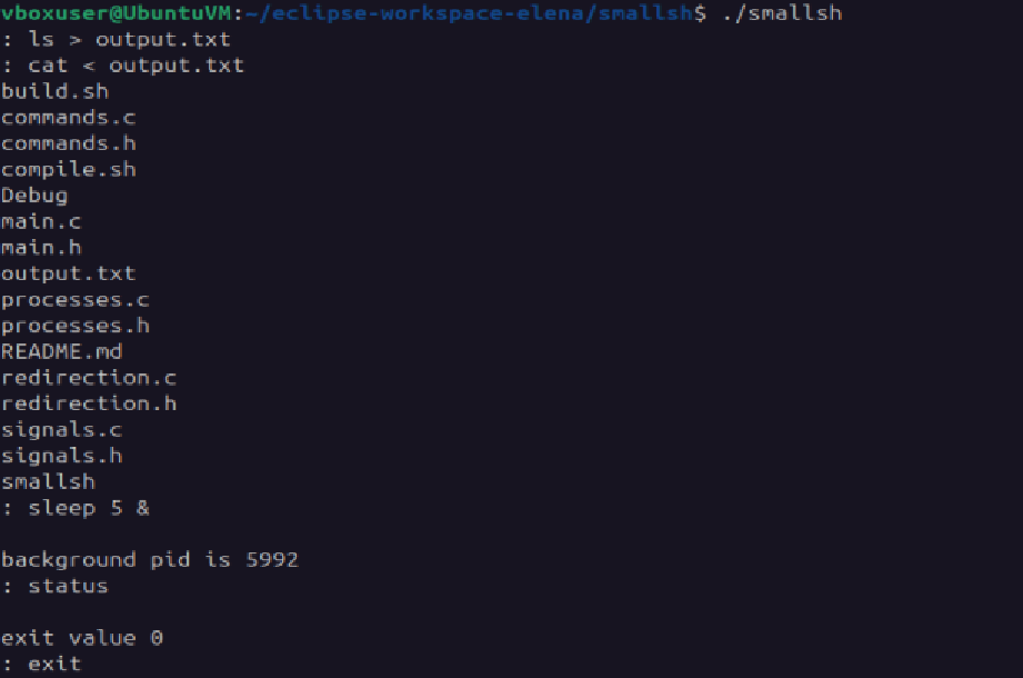 A picture of the Small Shell project